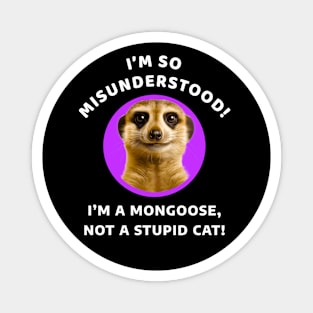 🌍 Misunderstood Meerkat, Mongoose, Stupid Cat Magnet